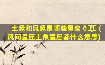 土象和风象是哪些星座 🦊 (风向星座土象星座都什么意思)